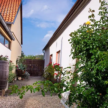 Marhulka Guest house Dolni Vestonice